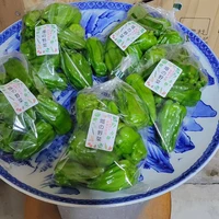 画像274
