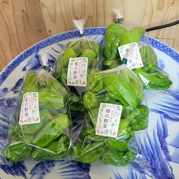 画像283