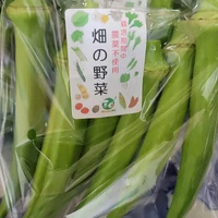 画像284
