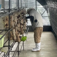 画像290