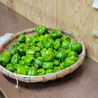 画像302