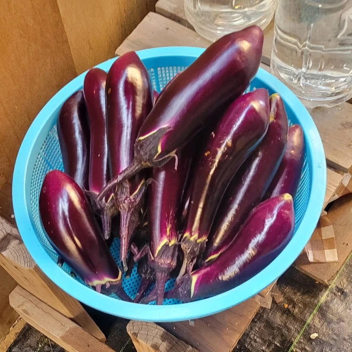画像304